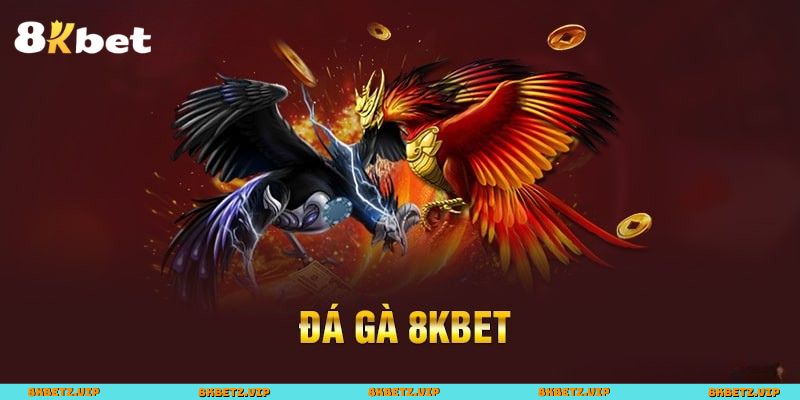 Bí quyết chơi đá gà hiệu quả tại 8KBET
