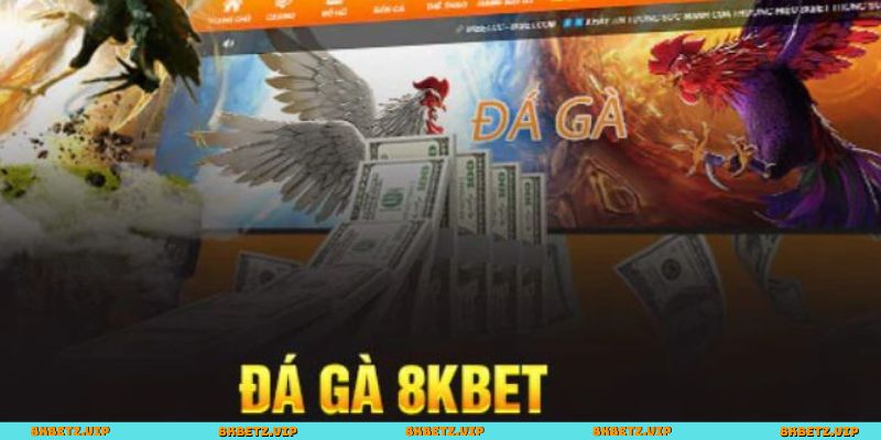 Những điểm đáng chú ý về đá gà 8KBET
